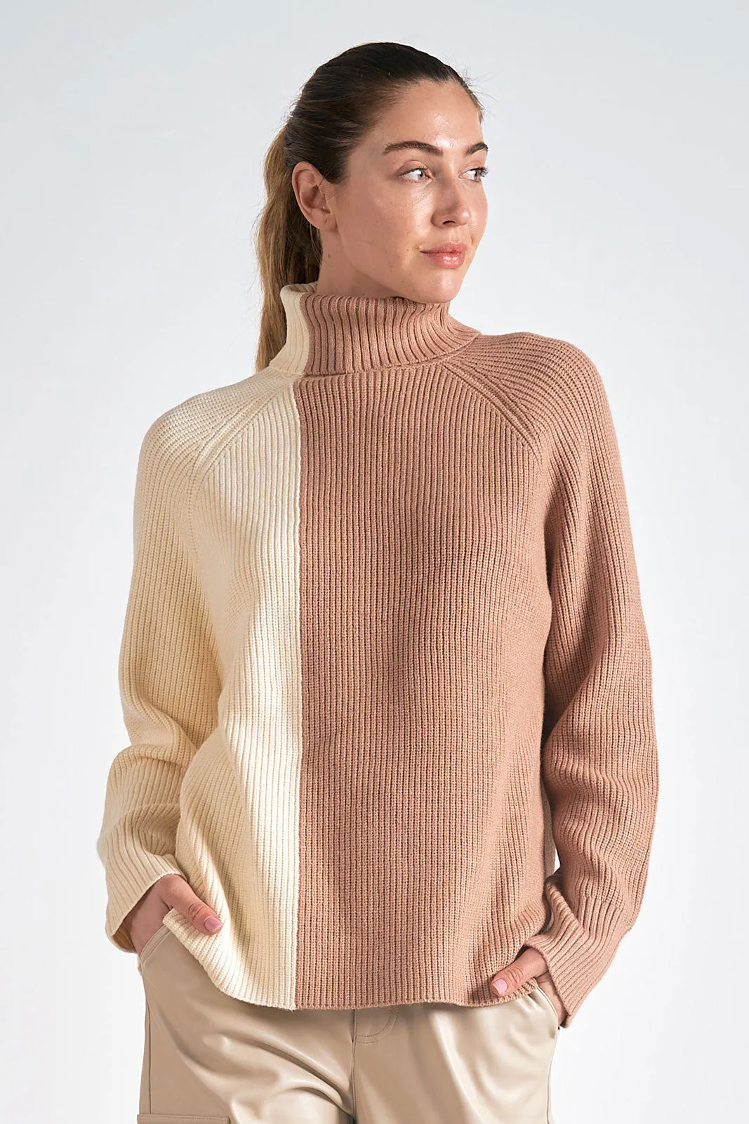 Neutral Colorblock Sweater